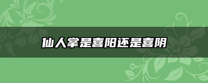 仙人掌是喜阳还是喜阴
