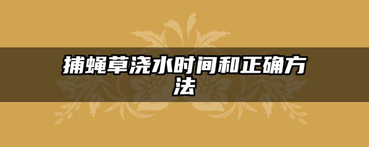 捕蝇草浇水时间和正确方法