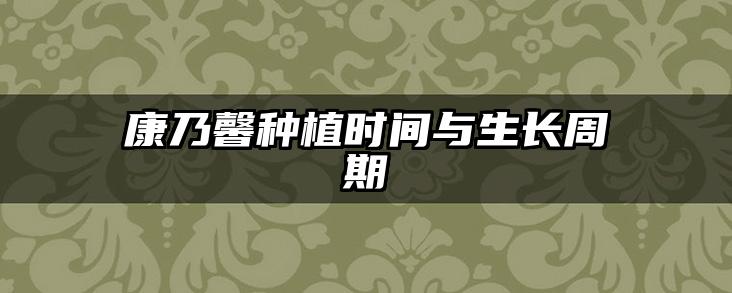 康乃馨种植时间与生长周期