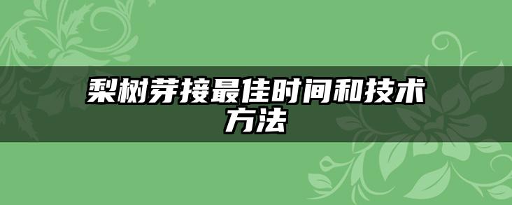 梨树芽接最佳时间和技术方法