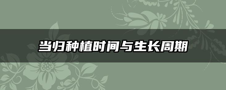 当归种植时间与生长周期