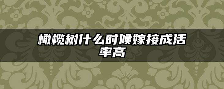 橄榄树什么时候嫁接成活率高