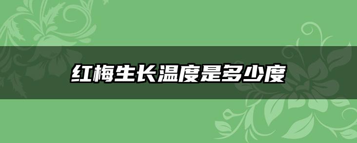 红梅生长温度是多少度
