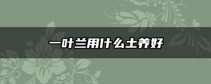 一叶兰用什么土养好