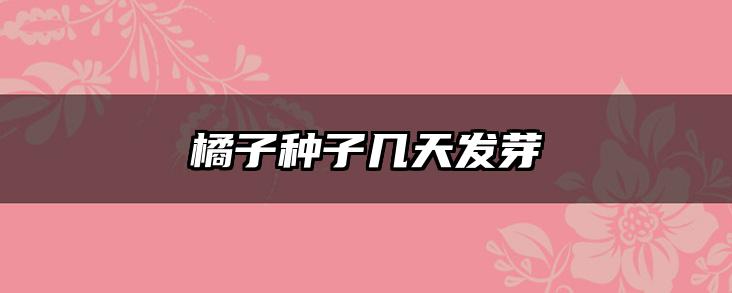 橘子种子几天发芽
