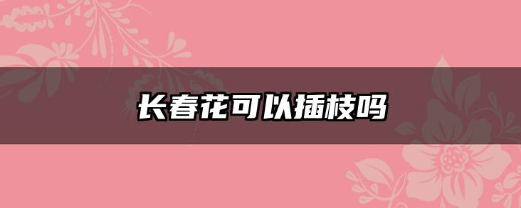 长春花可以插枝吗