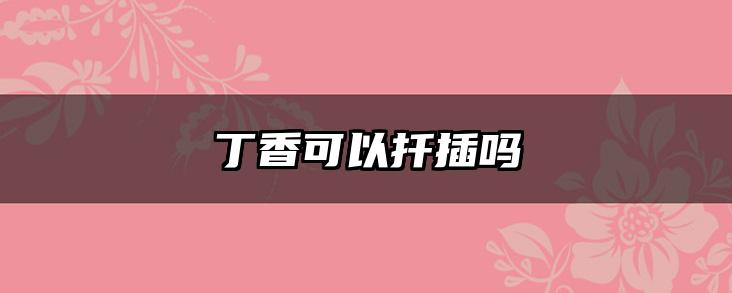 丁香可以扦插吗