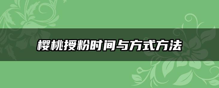 樱桃授粉时间与方式方法