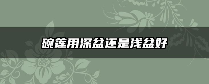 碗莲用深盆还是浅盆好