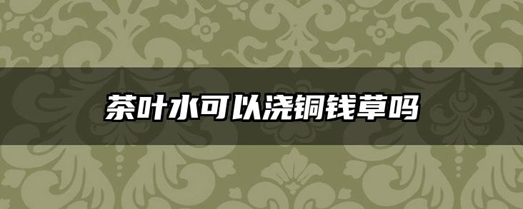 茶叶水可以浇铜钱草吗