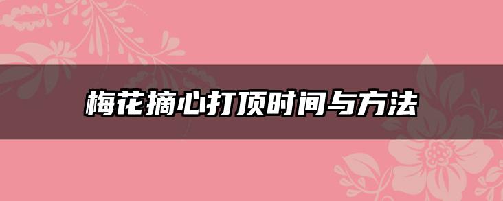 梅花摘心打顶时间与方法