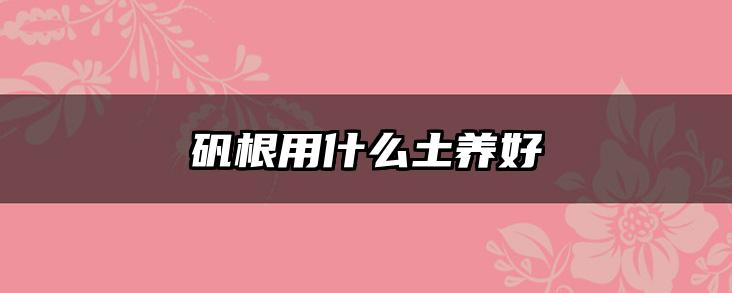 矾根用什么土养好