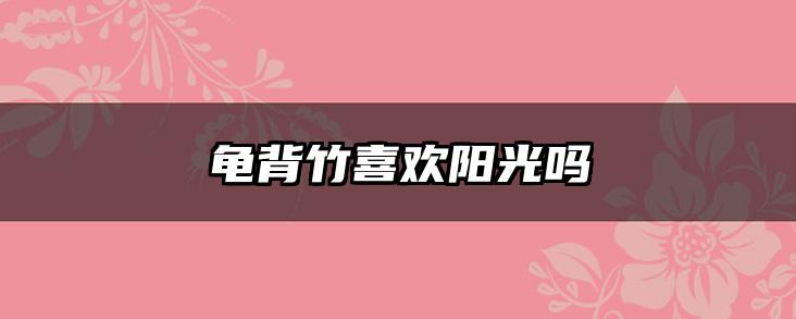 龟背竹喜欢阳光吗