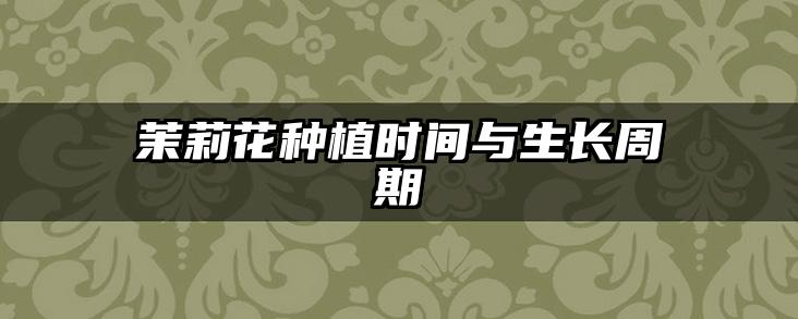 茉莉花种植时间与生长周期
