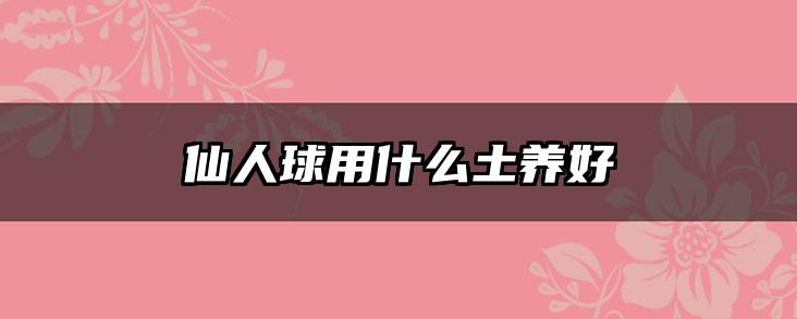 仙人球用什么土养好