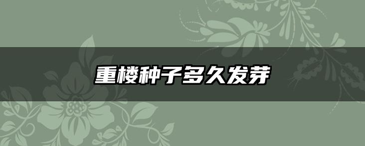重楼种子多久发芽