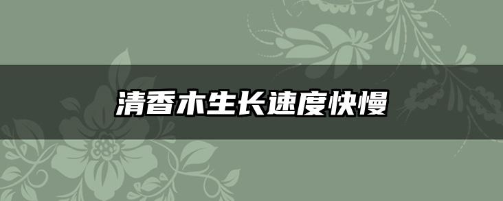清香木生长速度快慢