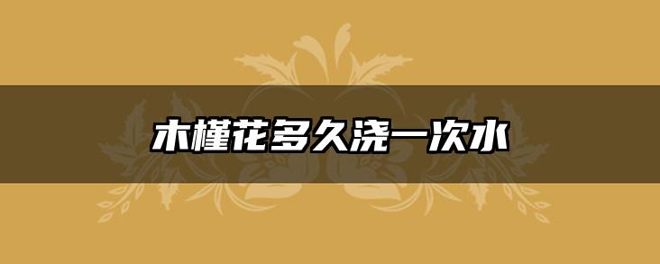 木槿花多久浇一次水