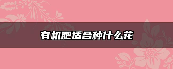 有机肥适合种什么花
