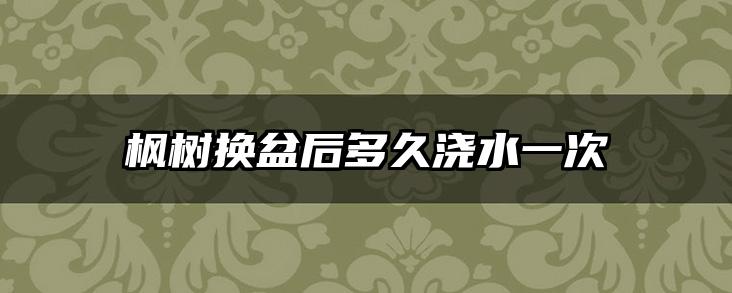 枫树换盆后多久浇水一次
