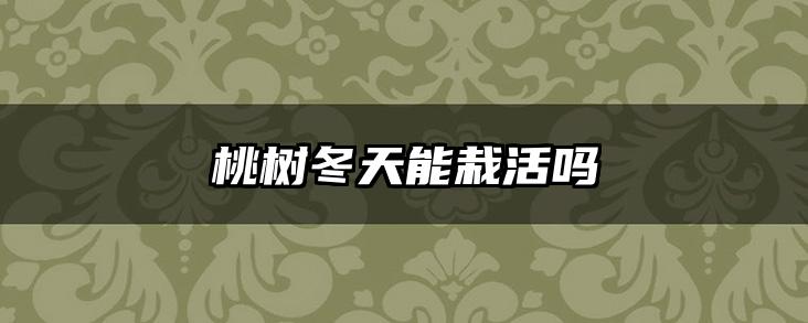 桃树冬天能栽活吗