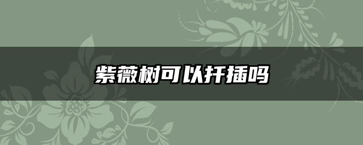 紫薇树可以扦插吗