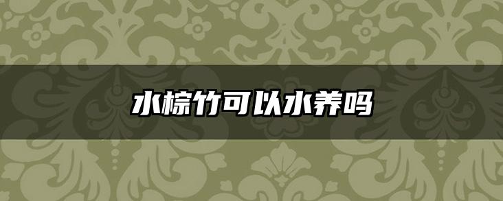 水棕竹可以水养吗