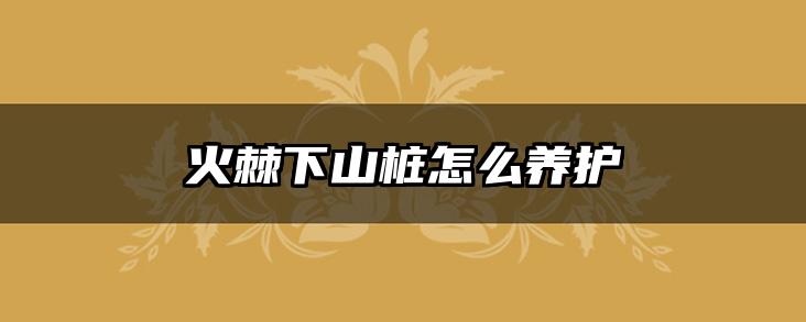 火棘下山桩怎么养护