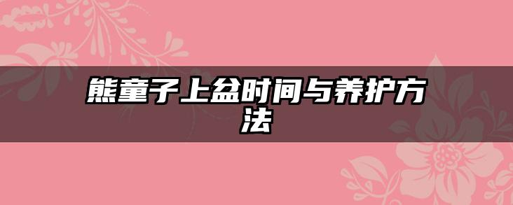 熊童子上盆时间与养护方法