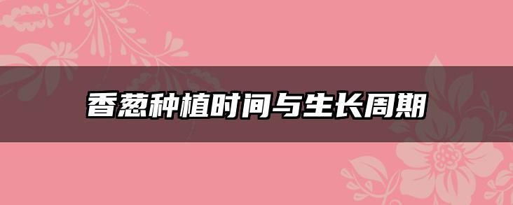 香葱种植时间与生长周期