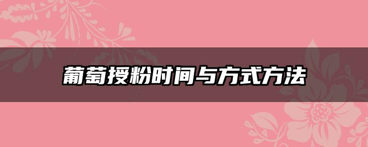 葡萄授粉时间与方式方法