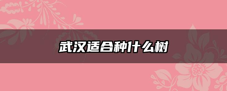 武汉适合种什么树