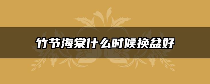 竹节海棠什么时候换盆好