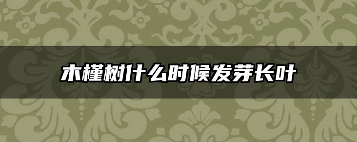 木槿树什么时候发芽长叶