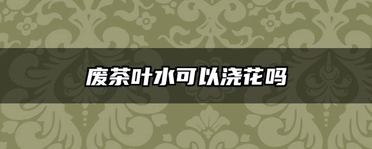废茶叶水可以浇花吗