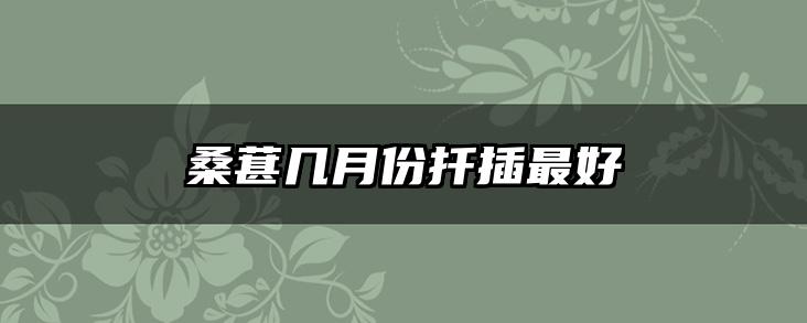 桑葚几月份扦插最好