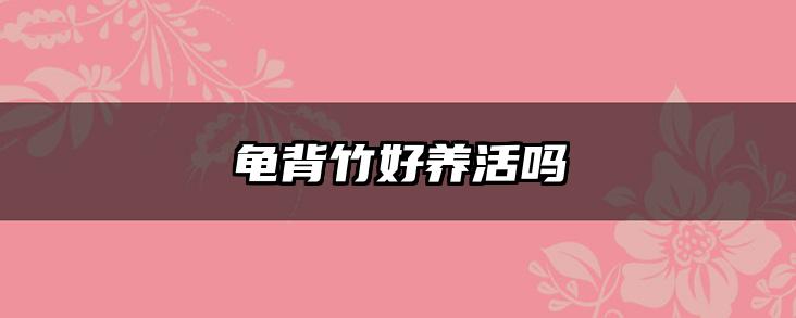 龟背竹好养活吗