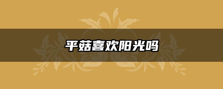 平菇喜欢阳光吗