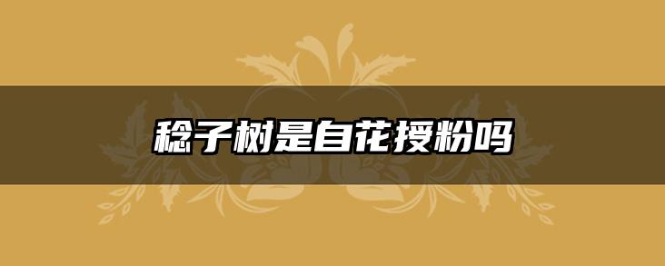 稔子树是自花授粉吗