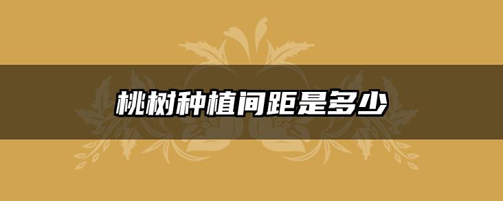 桃树种植间距是多少