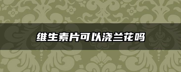 维生素片可以浇兰花吗