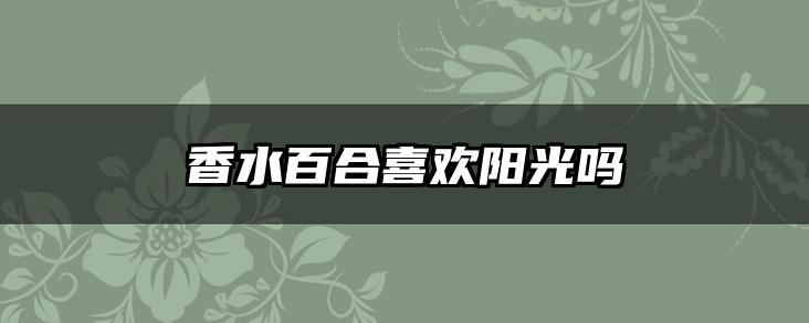 香水百合喜欢阳光吗