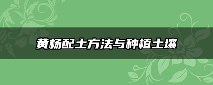 黄杨配土方法与种植土壤