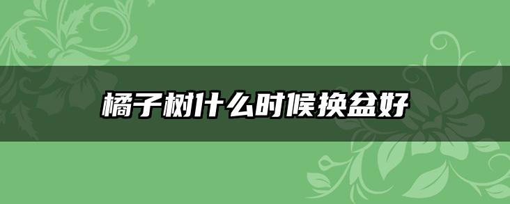 橘子树什么时候换盆好