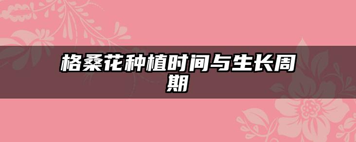 格桑花种植时间与生长周期