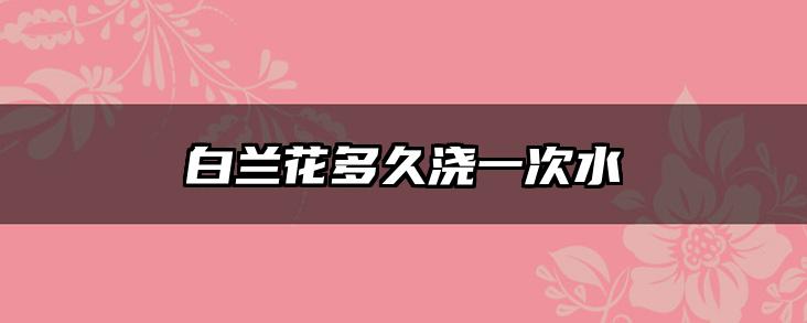 白兰花多久浇一次水