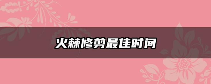 火棘修剪最佳时间