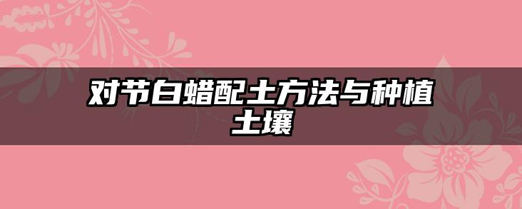 对节白蜡配土方法与种植土壤