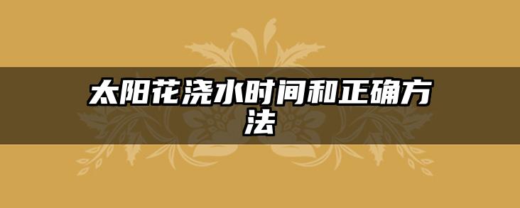 太阳花浇水时间和正确方法