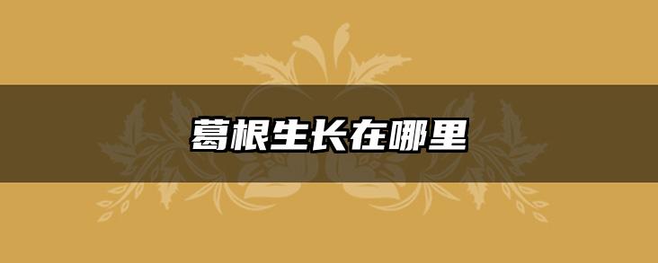 葛根生长在哪里
